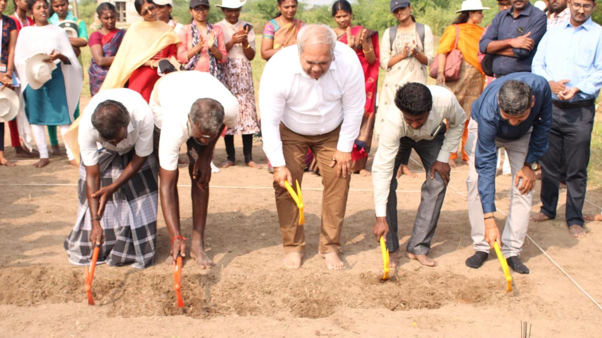 ASI launches excavation at ancient habitation mounds in Kodumbalur